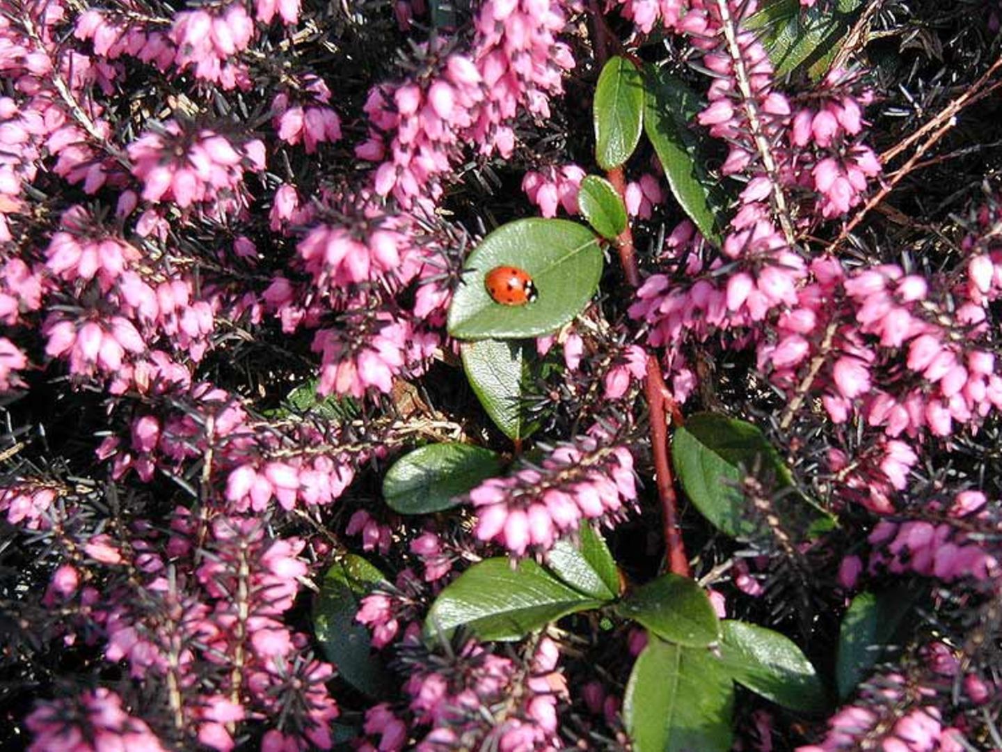 Euer Foto der Woche! - Bild 8