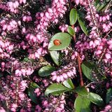 Euer Foto der Woche! - Bild 8