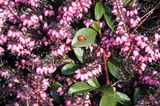 Euer Foto der Woche! - Bild 8