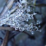 Euer Foto der Woche! - Bild 8