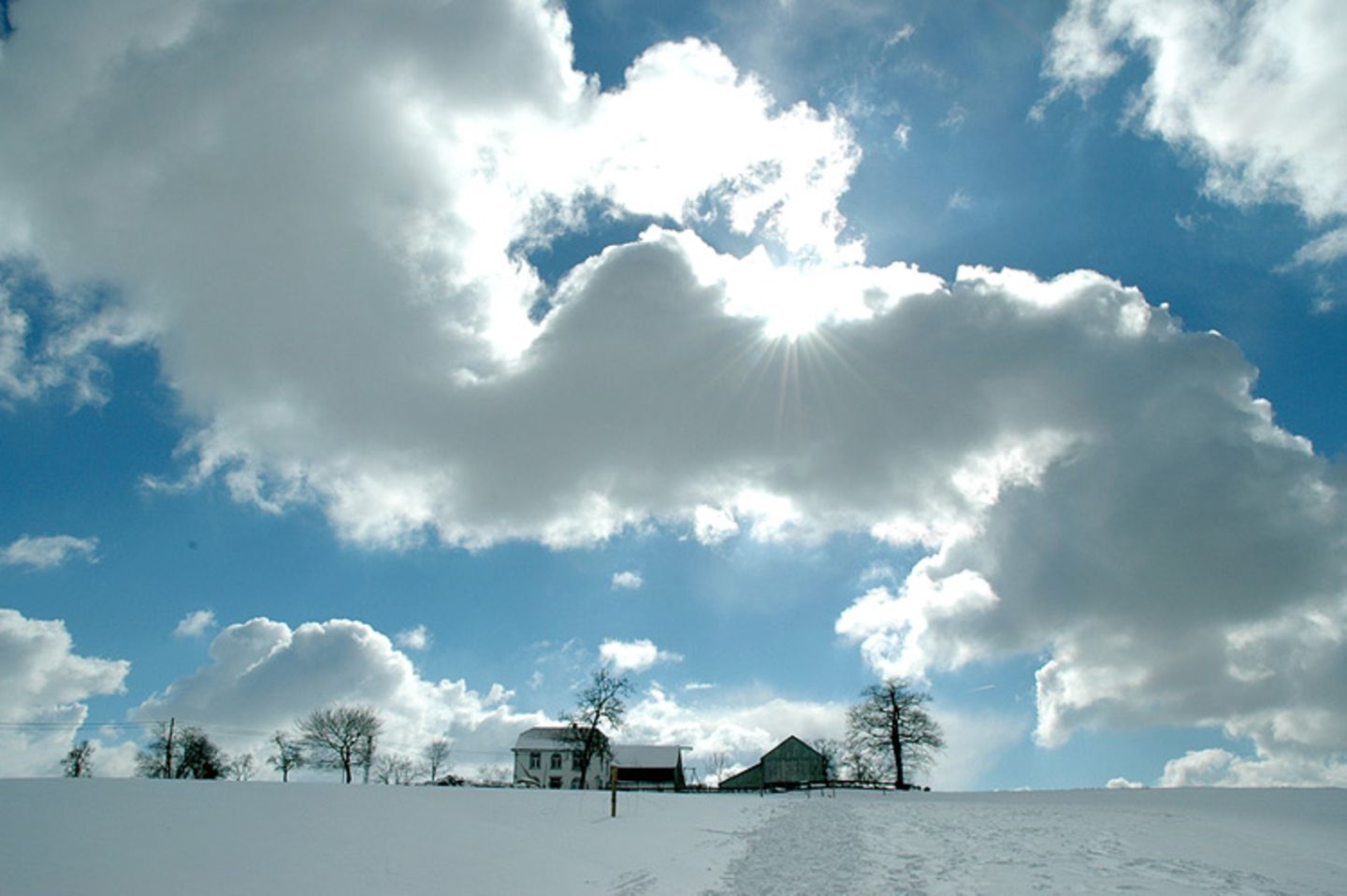 Euer Foto der Woche! - Bild 12