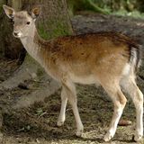 Euer Foto der Woche! - Bild 13