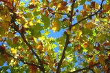 Euer Foto der Woche! - Bild 14