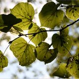 Euer Foto der Woche! - Bild 20