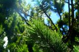 Euer Foto der Woche! - Bild 21