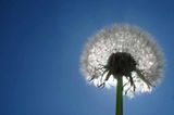 Euer Foto der Woche! - Bild 36