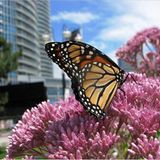 Euer Foto der Woche! - Bild 39