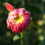 Euer Foto der Woche! - Bild 43