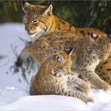 Euer Foto der Woche! - Bild 53