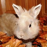 Euer Foto der Woche! - Bild 66