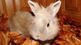 Euer Foto der Woche! - Bild 66