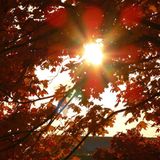 Euer Foto der Woche! - Bild 71