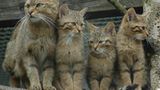 Euer Foto der Woche! - Bild 74