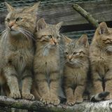 Euer Foto der Woche! - Bild 74