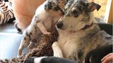 Euer Foto der Woche! - Bild 76