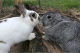 Euer Foto der Woche! - Bild 77