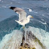 Euer Foto der Woche!