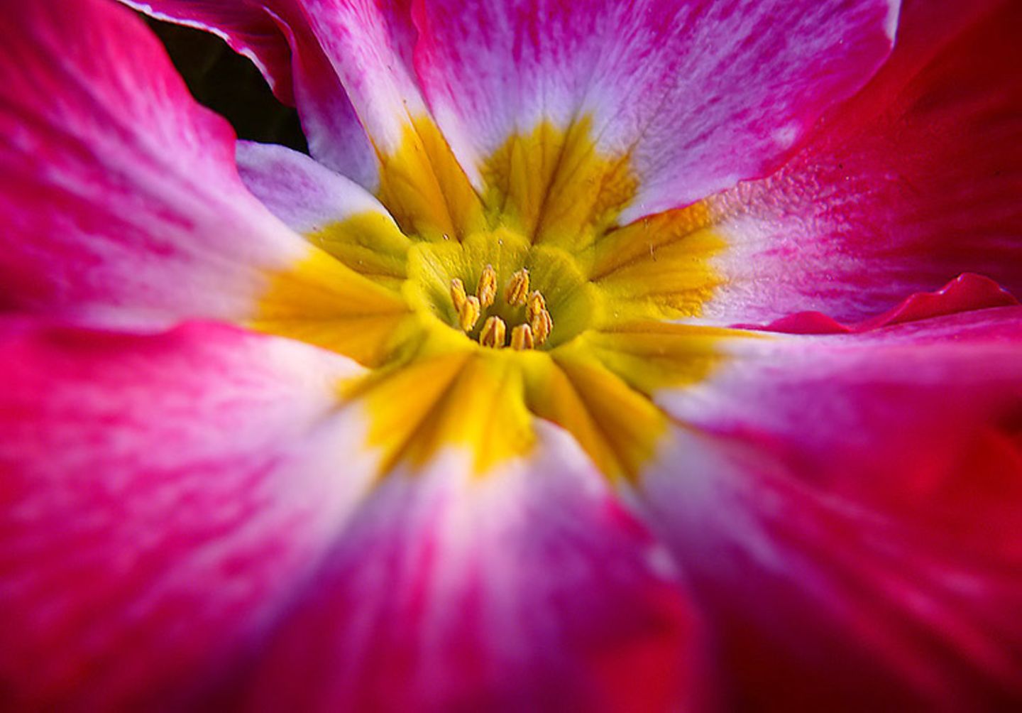 Euer Foto der Woche! - Bild 5