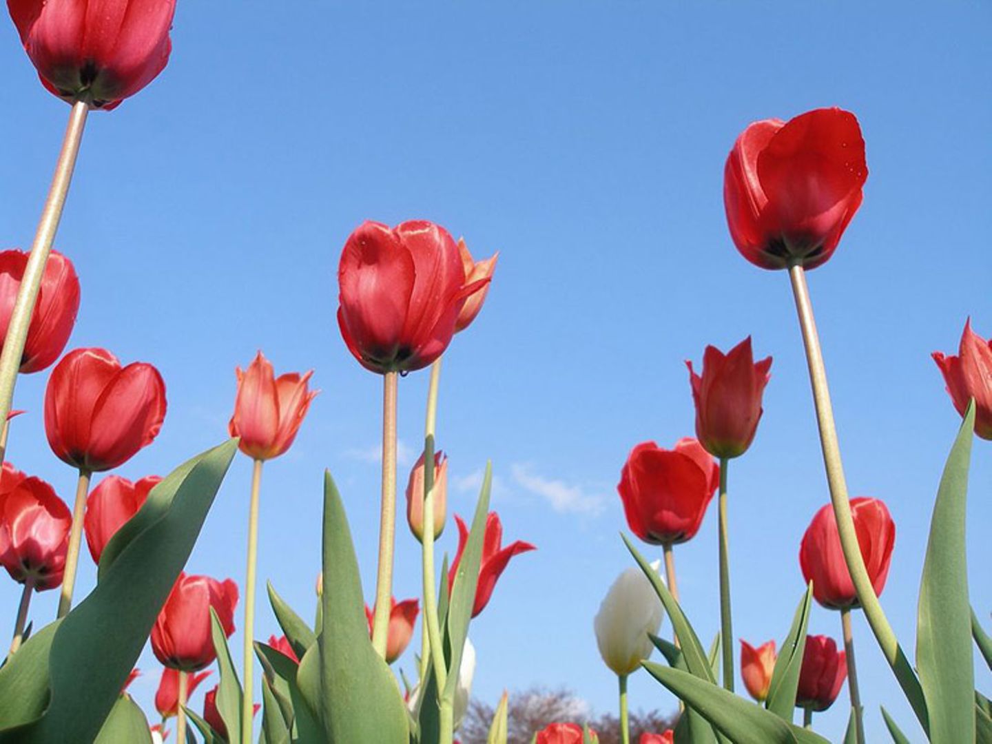 Euer Foto der Woche! - Bild 8