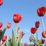 Euer Foto der Woche! - Bild 8