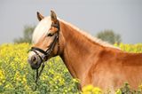 Euer Foto der Woche! - Bild 9