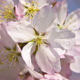 Euer Foto der Woche! - Bild 10