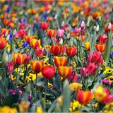 Euer Foto der Woche! - Bild 11