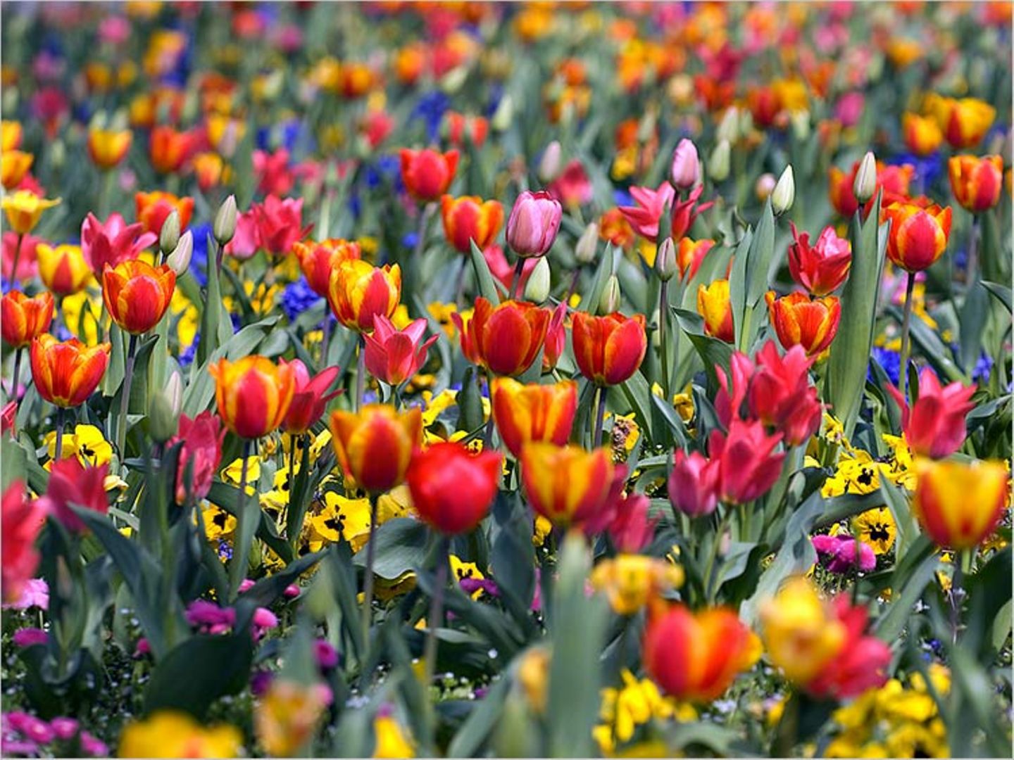 Euer Foto der Woche! - Bild 11
