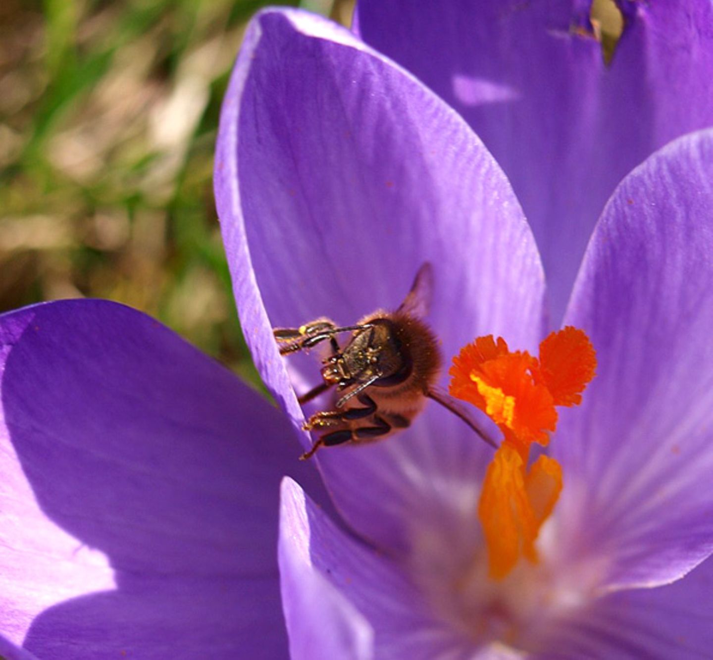 Euer Foto der Woche! - Bild 12