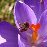 Euer Foto der Woche! - Bild 12