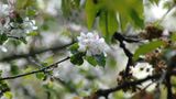 Euer Foto der Woche! - Bild 13