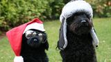 Euer Foto der Woche! - Bild 14