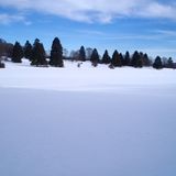 Euer Foto der Woche! - Bild 23