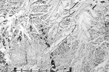 Euer Foto der Woche! - Bild 27