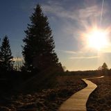 Euer Foto der Woche! - Bild 32