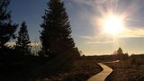 Euer Foto der Woche! - Bild 32
