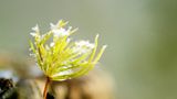 Euer Foto der Woche! - Bild 33
