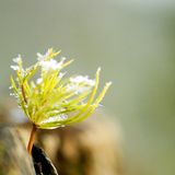 Euer Foto der Woche! - Bild 33