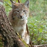 Euer Foto der Woche! - Bild 34