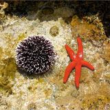 Euer Foto der Woche! - Bild 40