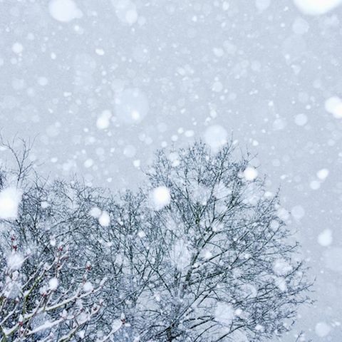 Wettbewerb: Schreibwettbewerb-Sieger: Schnee gestern, Schnee heute