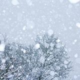 Wettbewerb: Schreibwettbewerb-Sieger: Schnee gestern, Schnee heute
