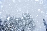 Wettbewerb: Schreibwettbewerb-Sieger: Schnee gestern, Schnee heute