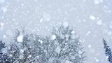 Wettbewerb: Schreibwettbewerb-Sieger: Schnee gestern, Schnee heute