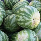 Januar: Euer Foto des Tages!