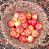 Januar: Euer Foto des Tages! - Bild 2