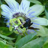 Januar: Euer Foto des Tages! - Bild 3