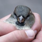 Januar: Euer Foto des Tages! - Bild 5