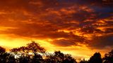 Januar: Euer Foto des Tages! - Bild 6