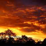 Januar: Euer Foto des Tages! - Bild 6